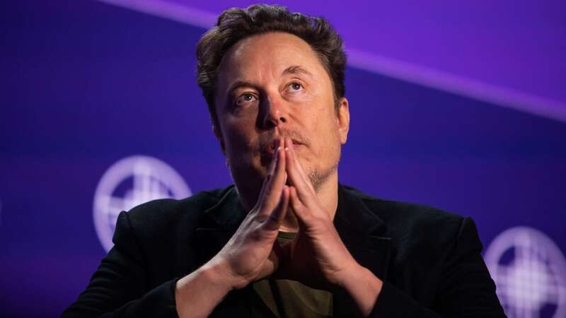 Elon Musk heads up a number of pioneering companies, from Tesla to SpaceX (file) (Image: Getty Images)