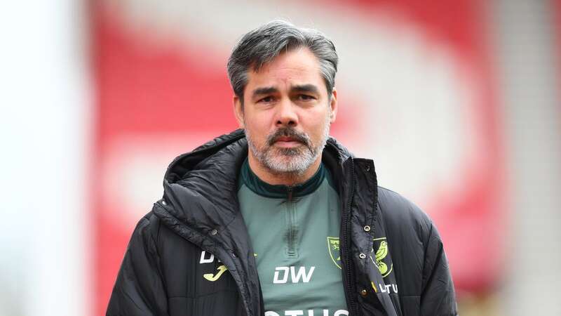 David Wagner has been sacked by Norwich