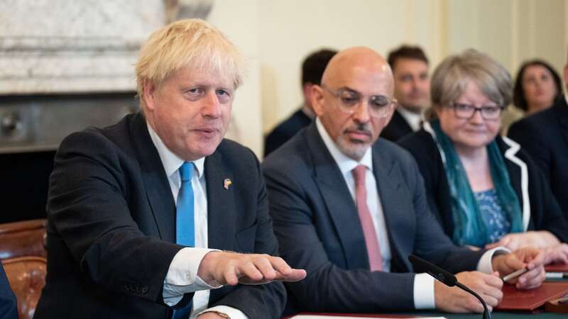 Boris Johnson made Nadhim Zahawi Chancellor when Rishi Sunak quit (Image: Getty Images)