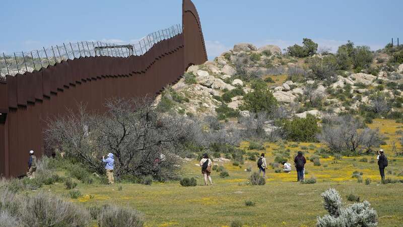 The teen was trafficked into the US two months ago (Image: AP)