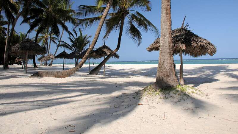 Diani Beach in Kenya is a lovely spot (Image: Shutterstock / Miroslav Ludma)