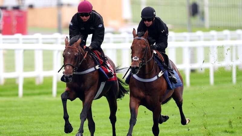 Dancing Gemini (left) working at Epsom ahead of the Derby (Image: PA)