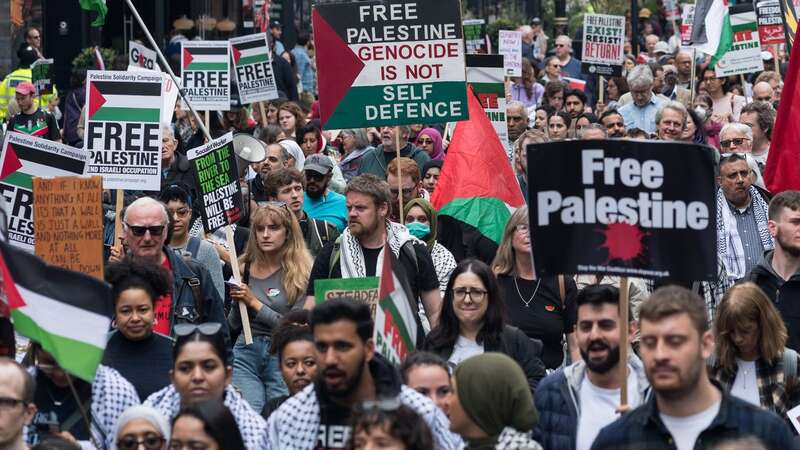 Lord Walney described regular pro-Palestine marches across the UK as a 