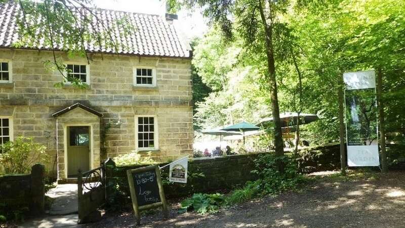 Falling Foss Tea Garden in Whitby, North Yorkshire (Image: TripAdvisor)