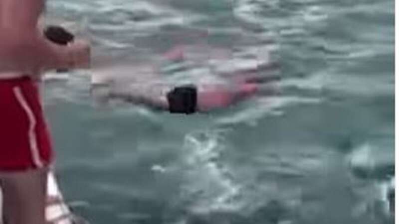 A man jumping into the sea on top of the whale (Image: New Zealand Department of Conservation)