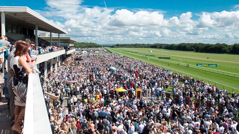 Haydock Park: under threat from heavy rain