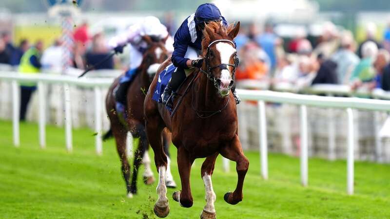 Economics: won the Dante Stakes by six lengths (Image: PA)