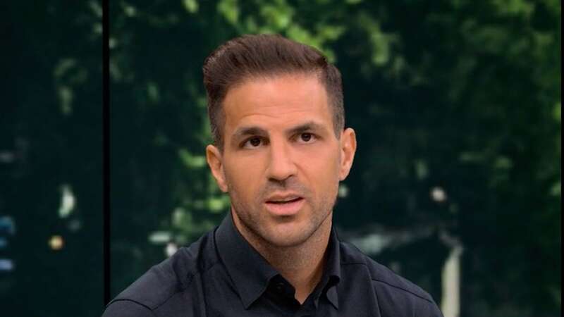 Cesc Fabregas has urged Arsenal to make a move for a striker this summer (Image: BBC)