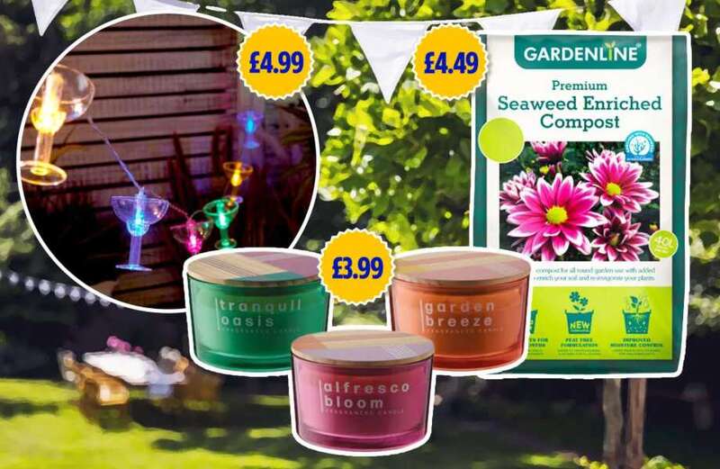 The bargain buys are perfect if you want to spruce up your garden this summer