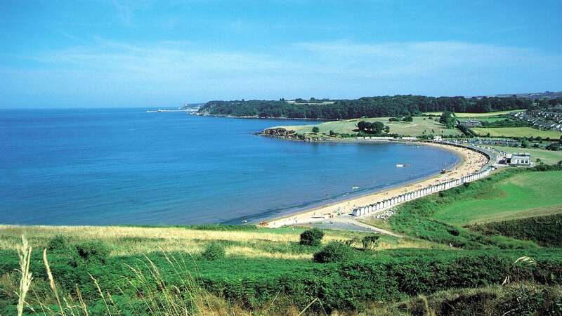 According to Top of the Poops, South West Water is polluting beaches most of any water company in the UK (Image: Unknown)