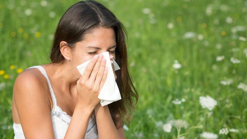 Hay fever gets worse as we enter summer (Image: Getty Images/iStockphoto)