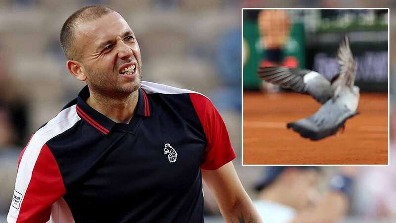 Dan Evans crashed out of the French Open on Tuesday