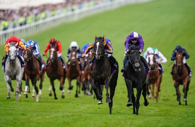 The Epsom Derby will see 20 horses competing on Saturday