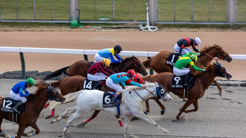 Mitokii Mizunuma was riding at Tokyo racecourse when he was caught using his smartphone (Image: Getty Images)