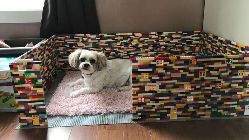 Lauretta Quincey inside her Lego dog house she made for her dog Bailey (Image: Lauretta Quincey/SWNS)