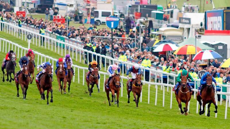 Ylang Ylang (dark blue colours towards left) struggles down the field in the Oaks (Image: RACINGFOTOS.COM)