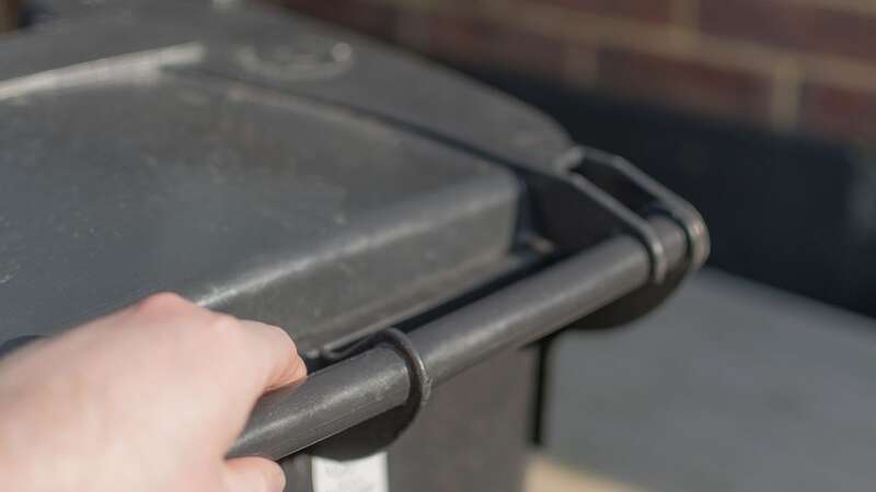 Bringing in the wheelie bin is a boring task (stock image) (Image: Getty Images/iStockphoto)