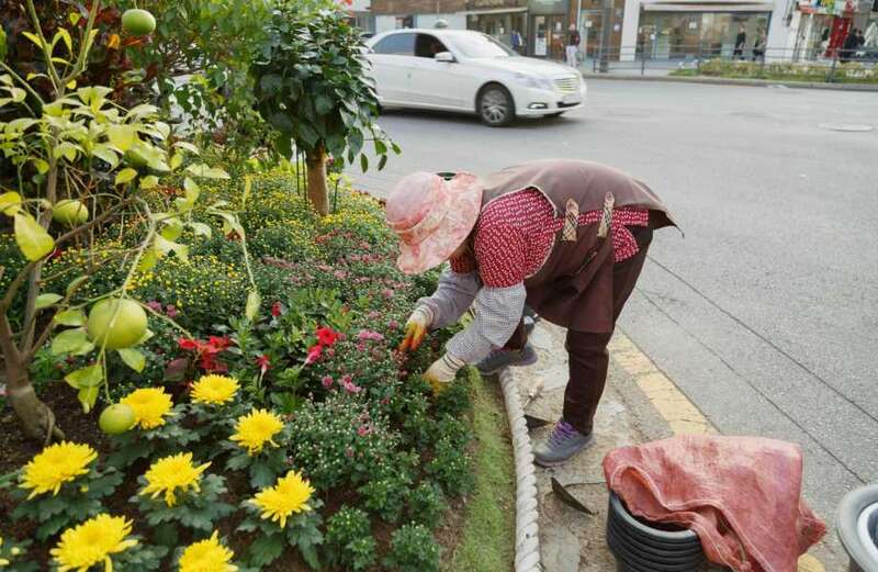 Scroll down to see a whole list of gardening hacks to help you out this Summer