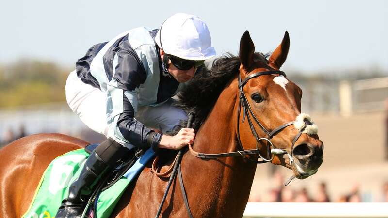 Passenger is out of Royal Ascot (Image: RACINGFOTOS.COM)