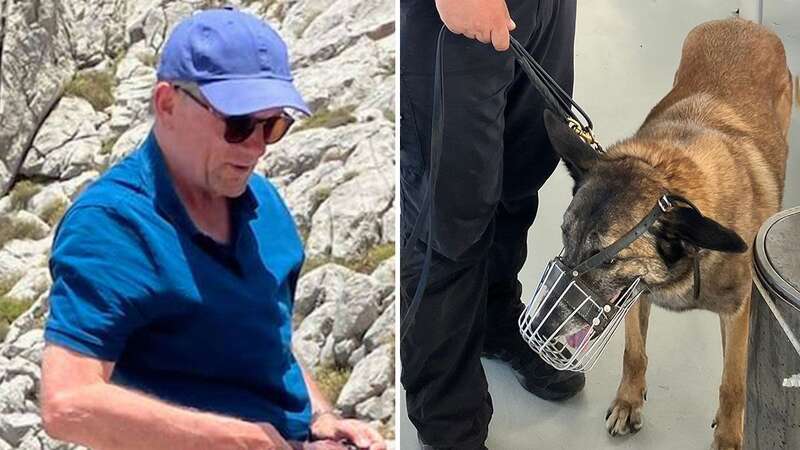 Heartbreaking reason Michael Mosley search team withdraws sniffer dog