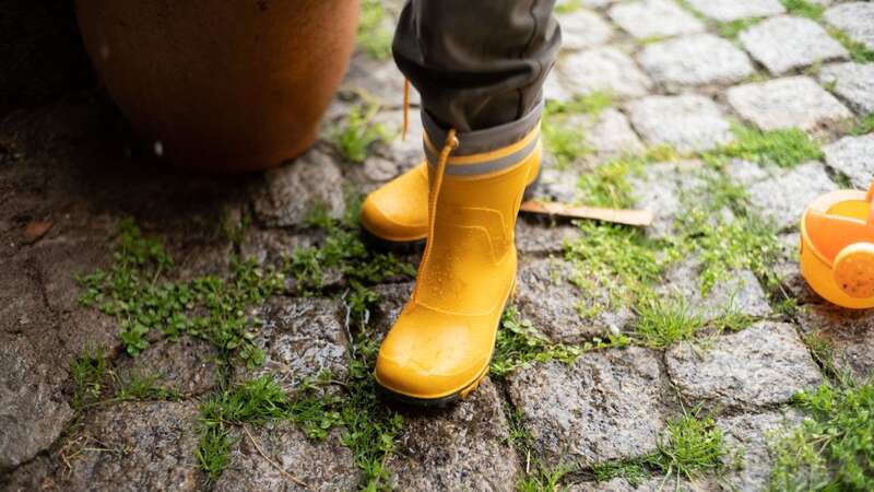 You can banish moss with a clever trick (stock photo) (Image: Getty Images)