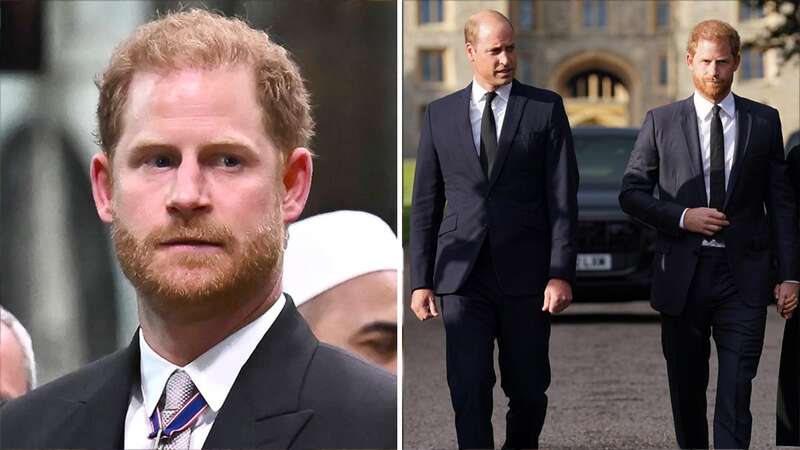 Prince Harry sought advice from his brother Prince William