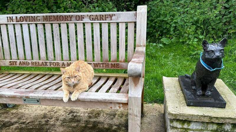 Teddy and the statue of Garfield in Ely County Park, Cambridgeshire (Image: Faye Moore/SWNS)