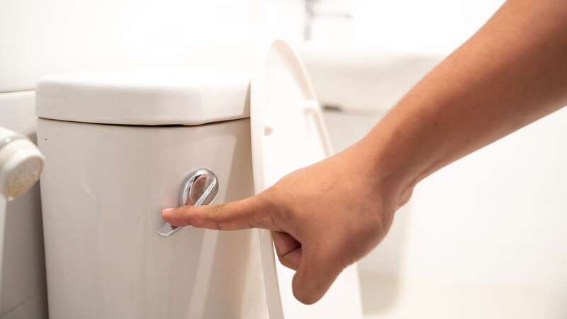 Are you a nighttime flusher? (Image: Getty Images)