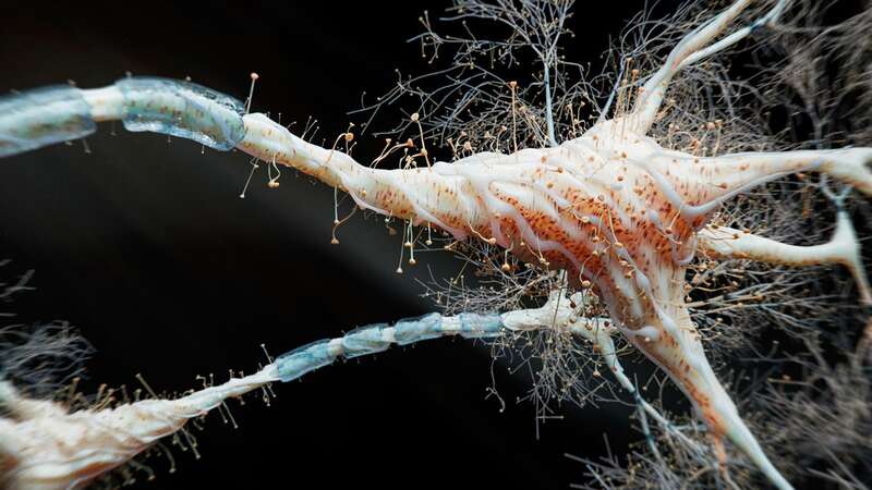 Current implants allow direct access to nerve fibres, but are risky (Image: Getty Images)