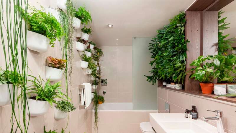 Plants in the bathroom can have many benefits (Image: Simone Morciano/ thejoyofplants.)