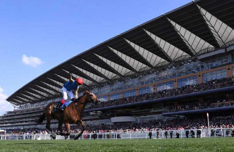 Get The Favourite during Royal Ascot every day in The Sun