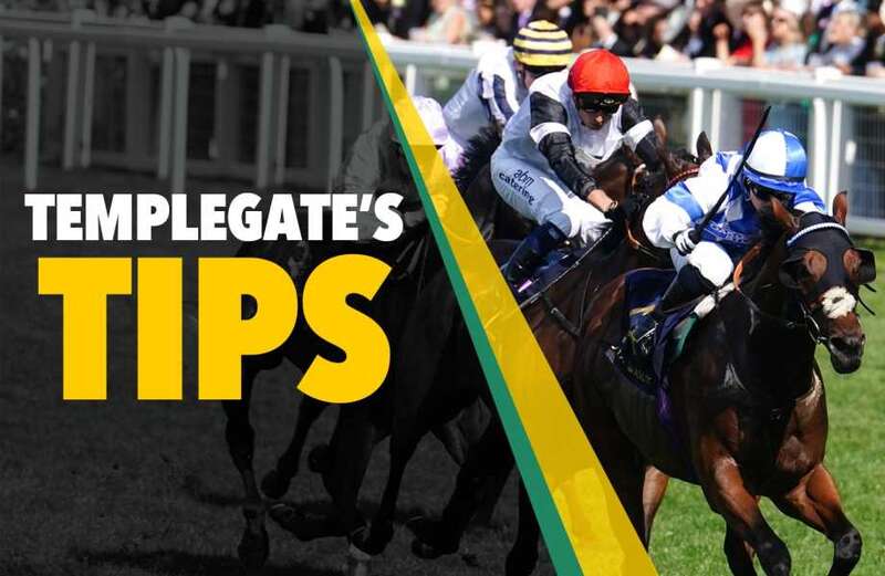 Templegate's NAP can benefit from being dropped 1lb over a trip he relishes