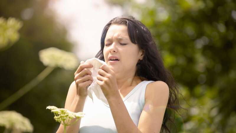 New data has revealed the places were people suffer most from hayfever (Image: Getty Images/Image Source)