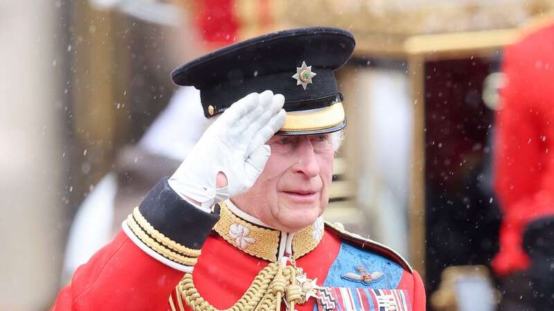 The King braved the rain as he saluted troops (Image: Getty Images)