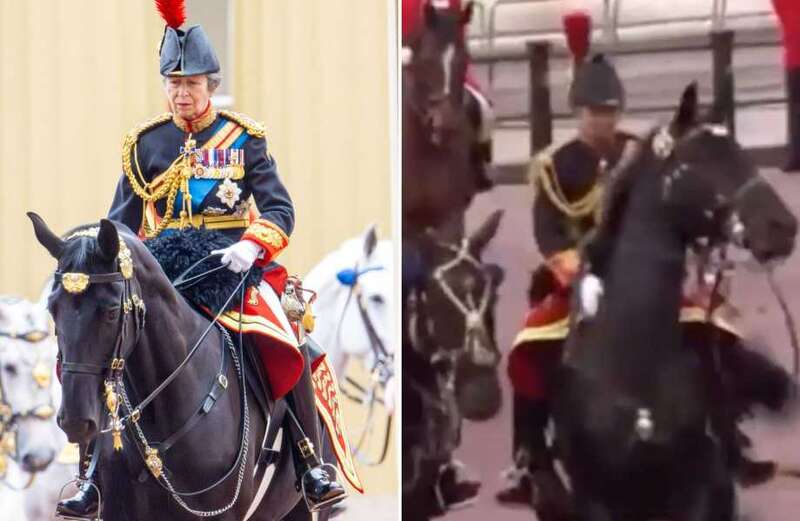 Watch the moment the Princess Royal successfully calms the horse down without making a fuss