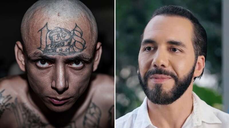 Nayib Bukele says MS-13 carry out child sacrifices (Image: tuckercarlson.com)