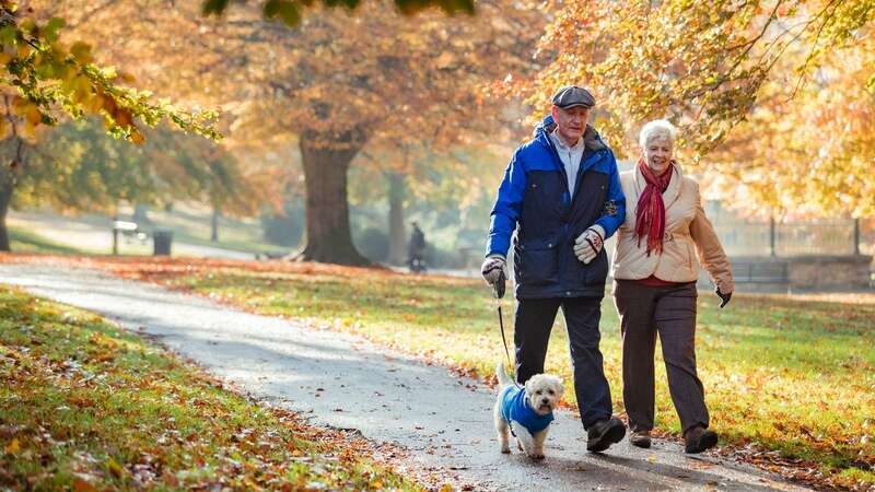 Dr Heather Sandison claims in her new book that engaging in four exercises could potentially assist in reversing symptoms of Alzheimer