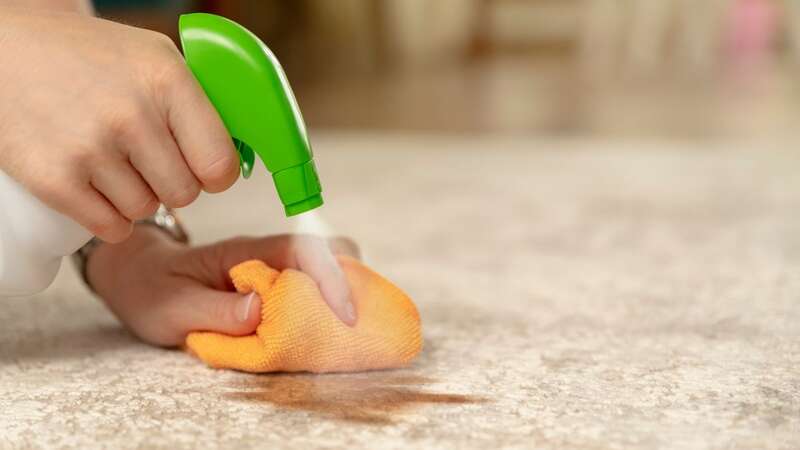 The magic item will remove stains in minutes (stock photo) (Image: Getty Images/iStockphoto)