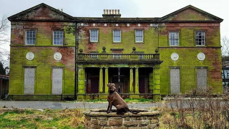 Woolton Hall in Liverpool is in a state of disrepair (Image: Terry O