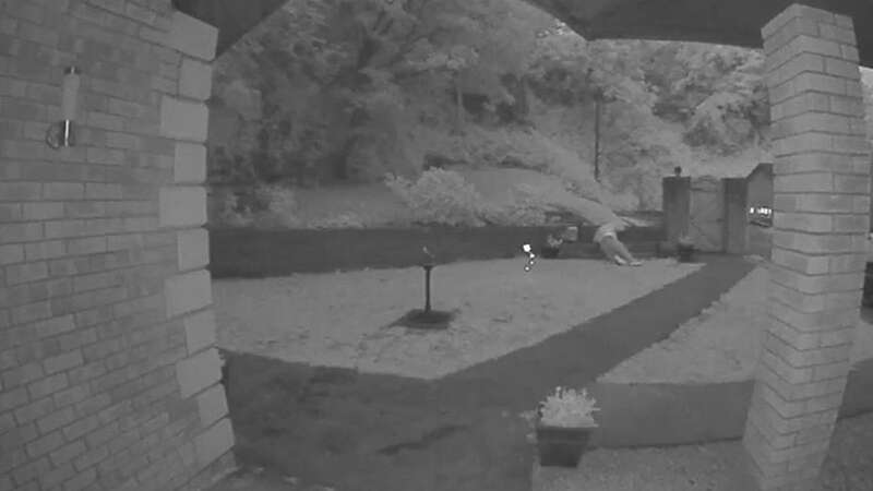 Doorbell camera captures 4am intruder getting instant karma for trespassing