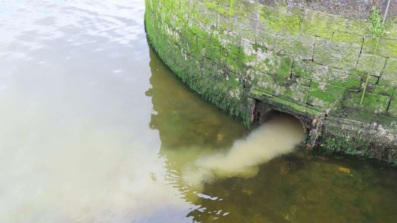 Sewage pumping into the water (Image: Pat Cantwell)