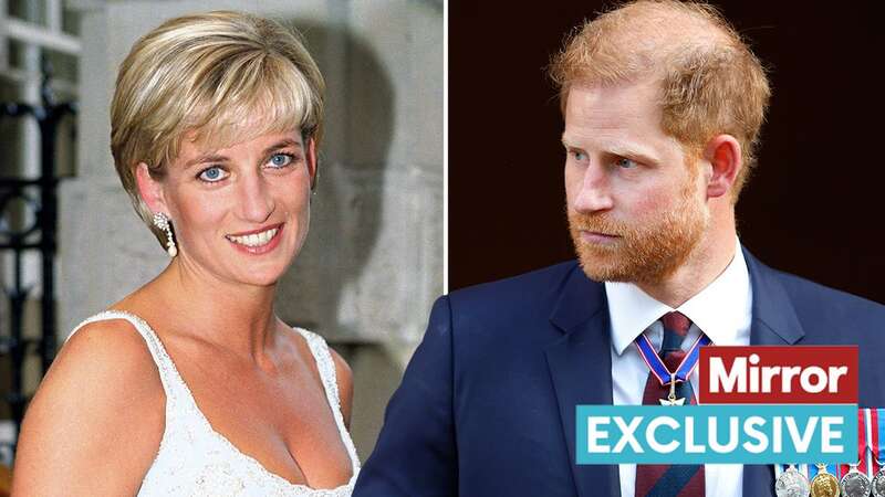 Prince Harry is continuing Princess Diana