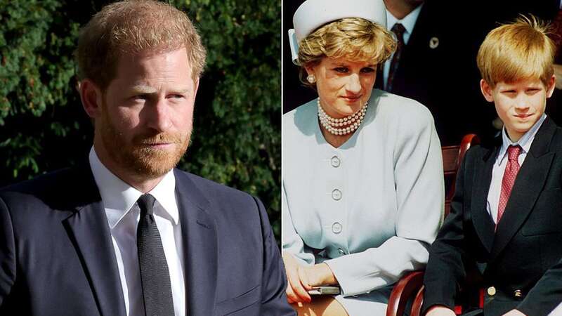 Prince Harry and his mother, Princess Diana