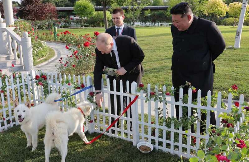 Watch the moment a smiling Kim gifts Putin a pair of Pungsan hunting dogs, a local breed used to hunt tigers