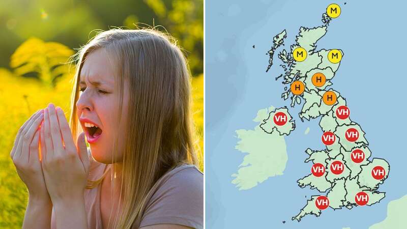 A young woman sneezing from allergies (stock image) (Image: Getty Images)