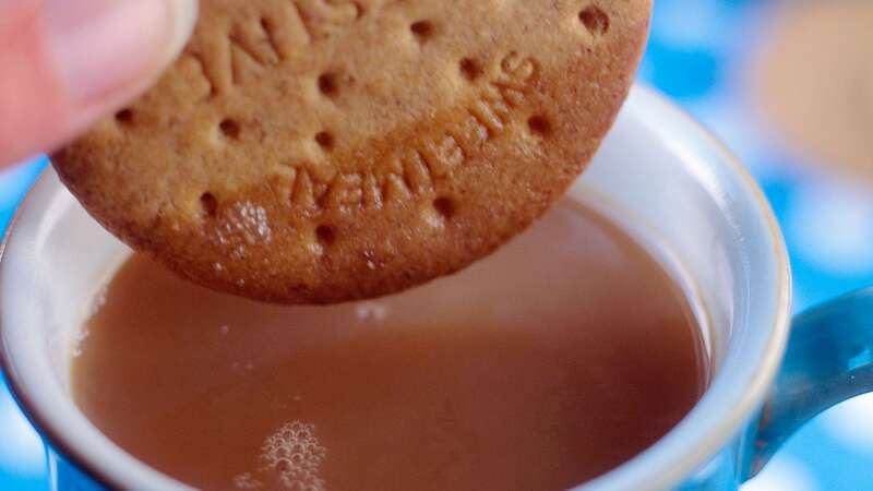 The new biscuit has thrilled chocolate lovers (stock photo) (Image: Getty Images)