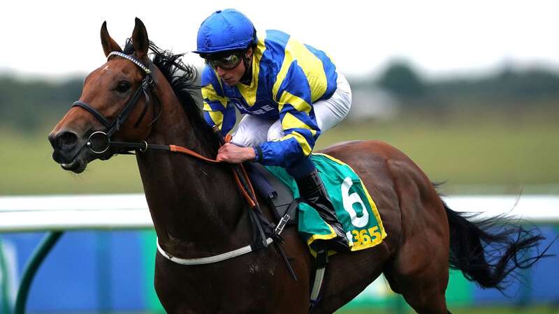 Trueshan has been ruled out of the Gold Cup for the fourth time (Image: PA)