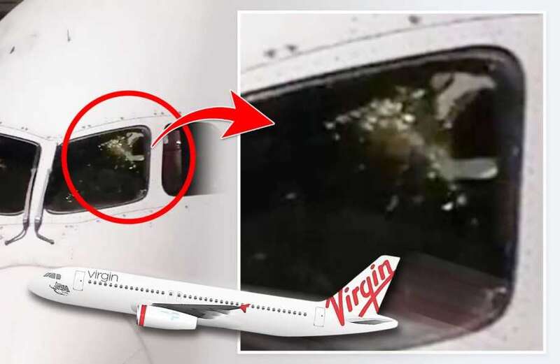 The jet’s altitude meant it was not hit by a bird and has left investigators baffled