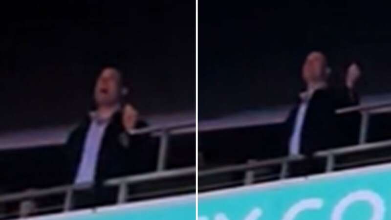 Prince William was seen cheering on the singer from the crowd