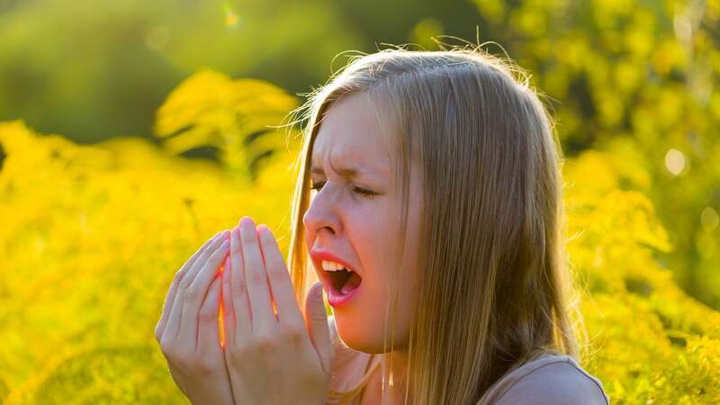 The coming week is set to be a nightmare for hay fever sufferers in all parts of the UK (Image: Getty Images)